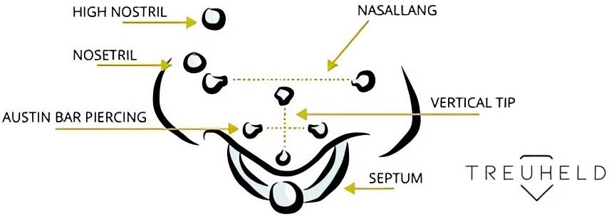 Piercing Arten - alle Nasenpiercings