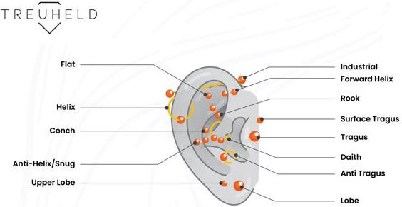 Piercing Arten - alle Ohrpiercings