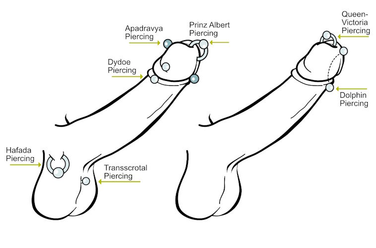 Übersicht der Intimpiercings bei Männern