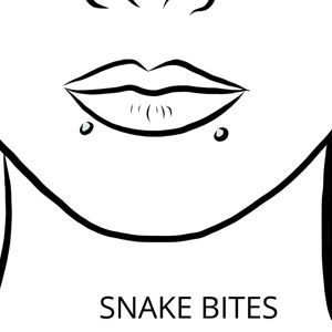 Snake Bites Lippenpiercing