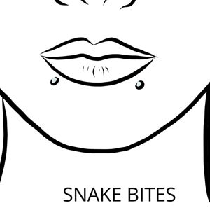 Snake Bites Piercing
