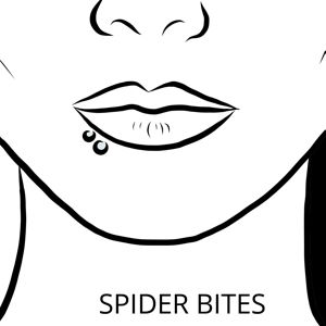 Spider Bites Lippenpiercing