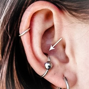 Orbital Piercings