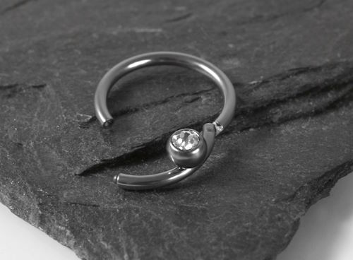 Segmentring Piercing Ringe kaufen