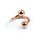 Piercing Spirale - Stahl - Rosegold