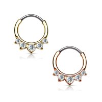 Septum Klicker - Ring - Kristalle - Spitz