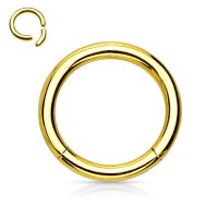 Segmentring Piercing - Gold