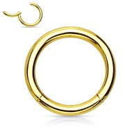 Segment Clicker Piercing Ring | Chirurgenstahl