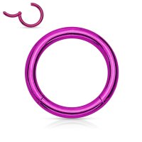 Segment Clicker Piercing Ring | Chirurgenstahl