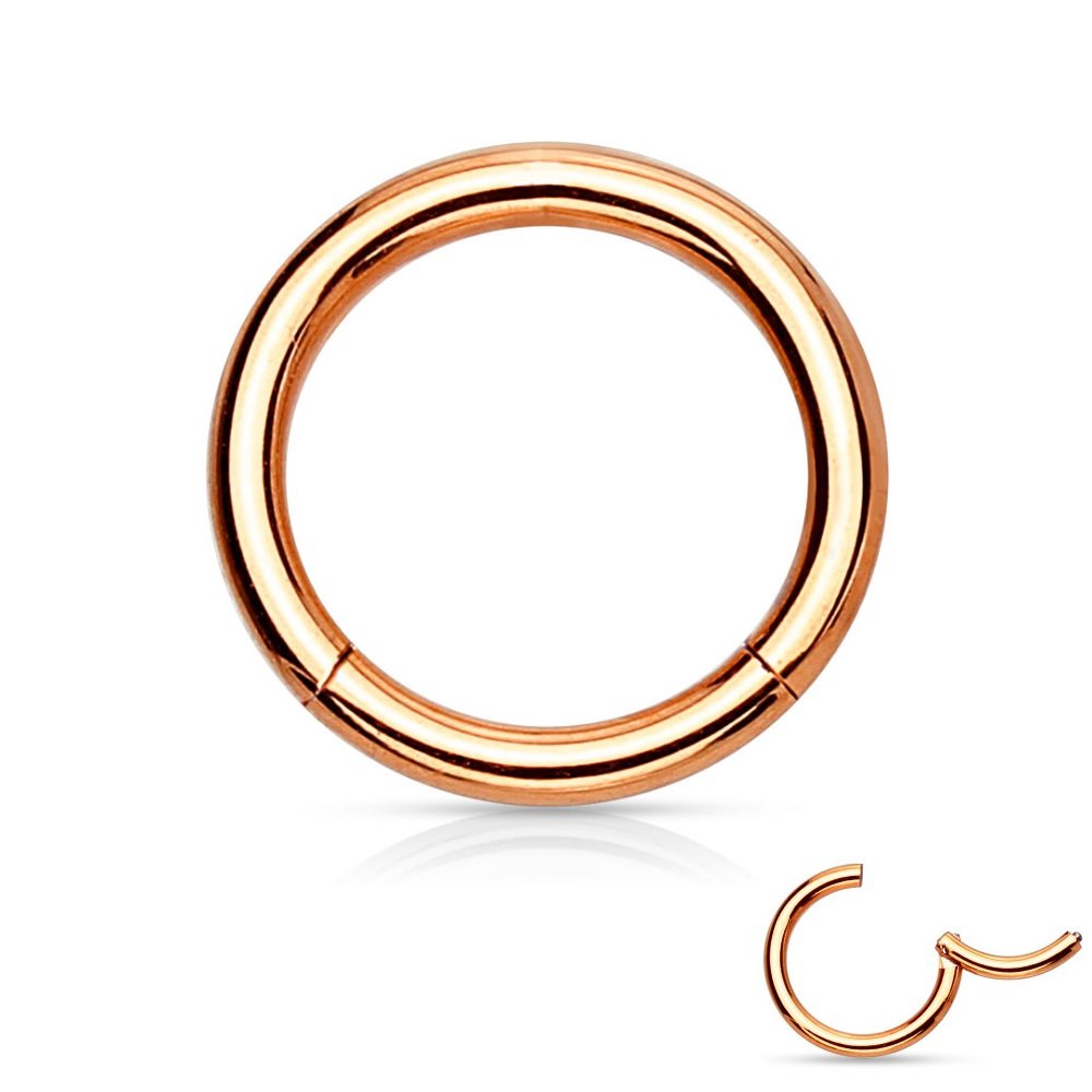 Goldener Titan Segmentring-Clicker Piercing mit Hologramm | 2 Größen