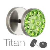 Piercing Fake Plug - Silber - Titan - Schutzschicht - Kristall