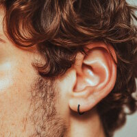 Titan Segment Clicker Piercing - 68 Varianten