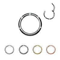 Segmentring Piercing - Klicker - Segmentklicker - Kristalle - 4 Farben