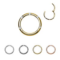 Segmentring Piercing - Klicker - Segmentklicker - Kristalle - 4 Farben