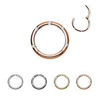 Segmentring Piercing - Klicker - Segmentklicker - Kristalle - 4 Farben