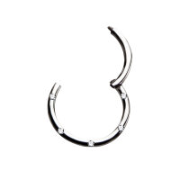 Segmentring Piercing - Klicker - Segmentklicker - Kristalle - 4 Farben