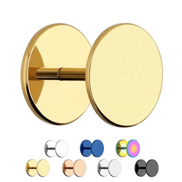 Matter Ohrstecker zum Schrauben - Titan Fake Plug
