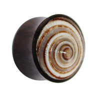 Ohr Plug - Sono Holz - Muschel - Schnecke
